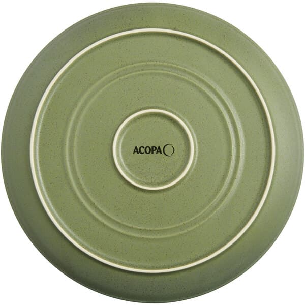 a close-up of a plate