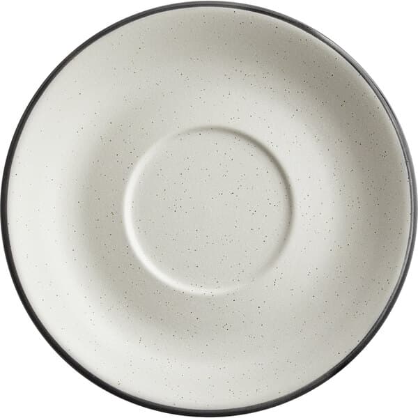 A white plate with a circular ring of black.