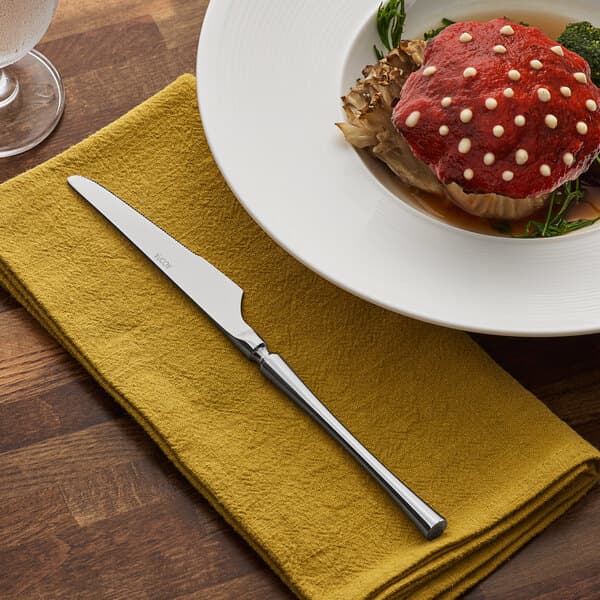 A plate of food on a table with an Acopa Hepburn stainless steel dinner knife.