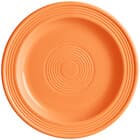 Valencia Orange