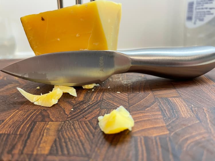Stainless cheese spade