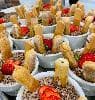 Everything from soup to desserts!