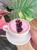 Love these mugs. They go great with the recommended saucer too. My customers love them.