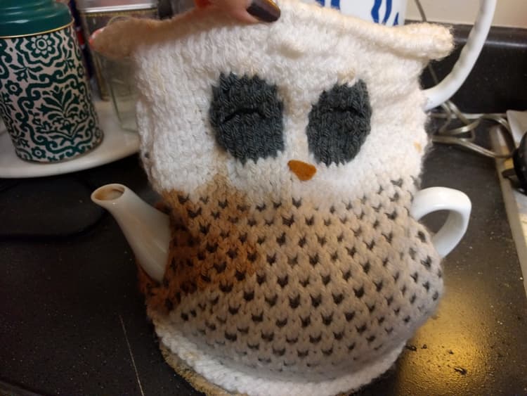 Teapot wearing its cute owl cozy.