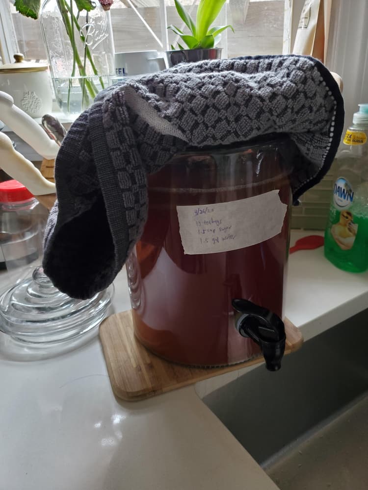 Brewing kombucha, i like the uniform height