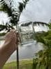 Etched Clear mug