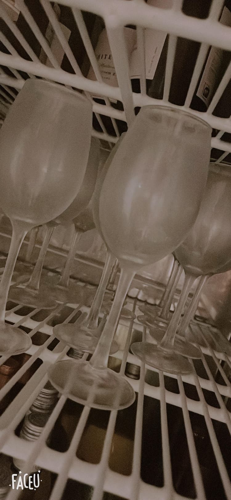 Wine glass