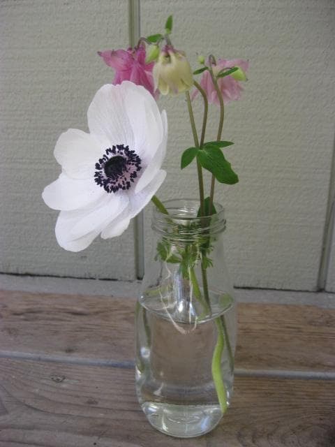 Lovely!