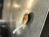 Great spoons to use for desserts. I have made mini Creme brûlée’s in these and they turned out well. We use them for sauces as well. Not durable, but that’s to be expected. Handle with care.