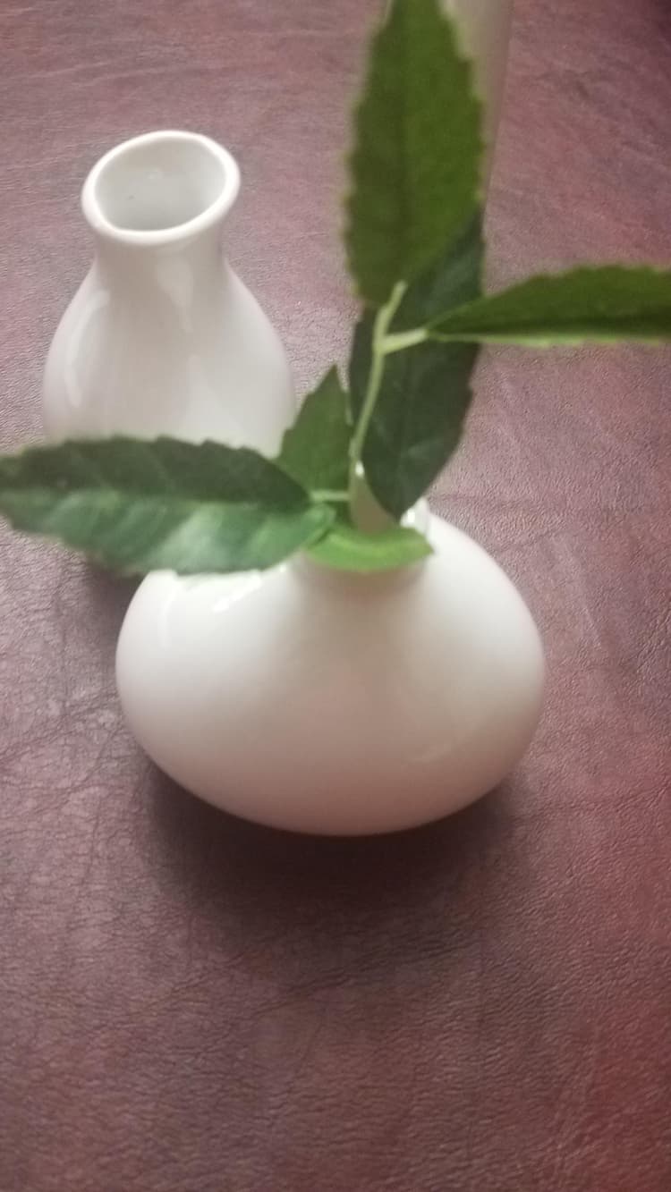 These white porcelain vases made by acopa are perfect for centerpieces with one small flower bud in them very nice product at a very good price.