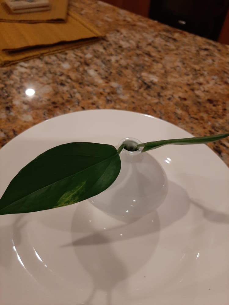 Nice but very small