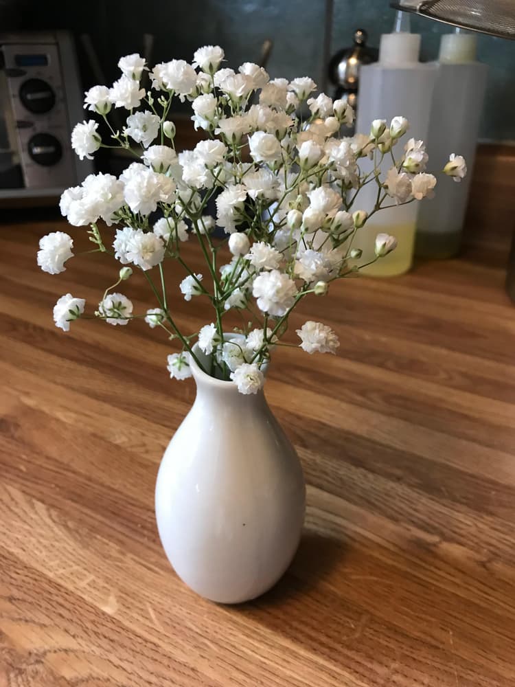Looks beautiful with flowers!