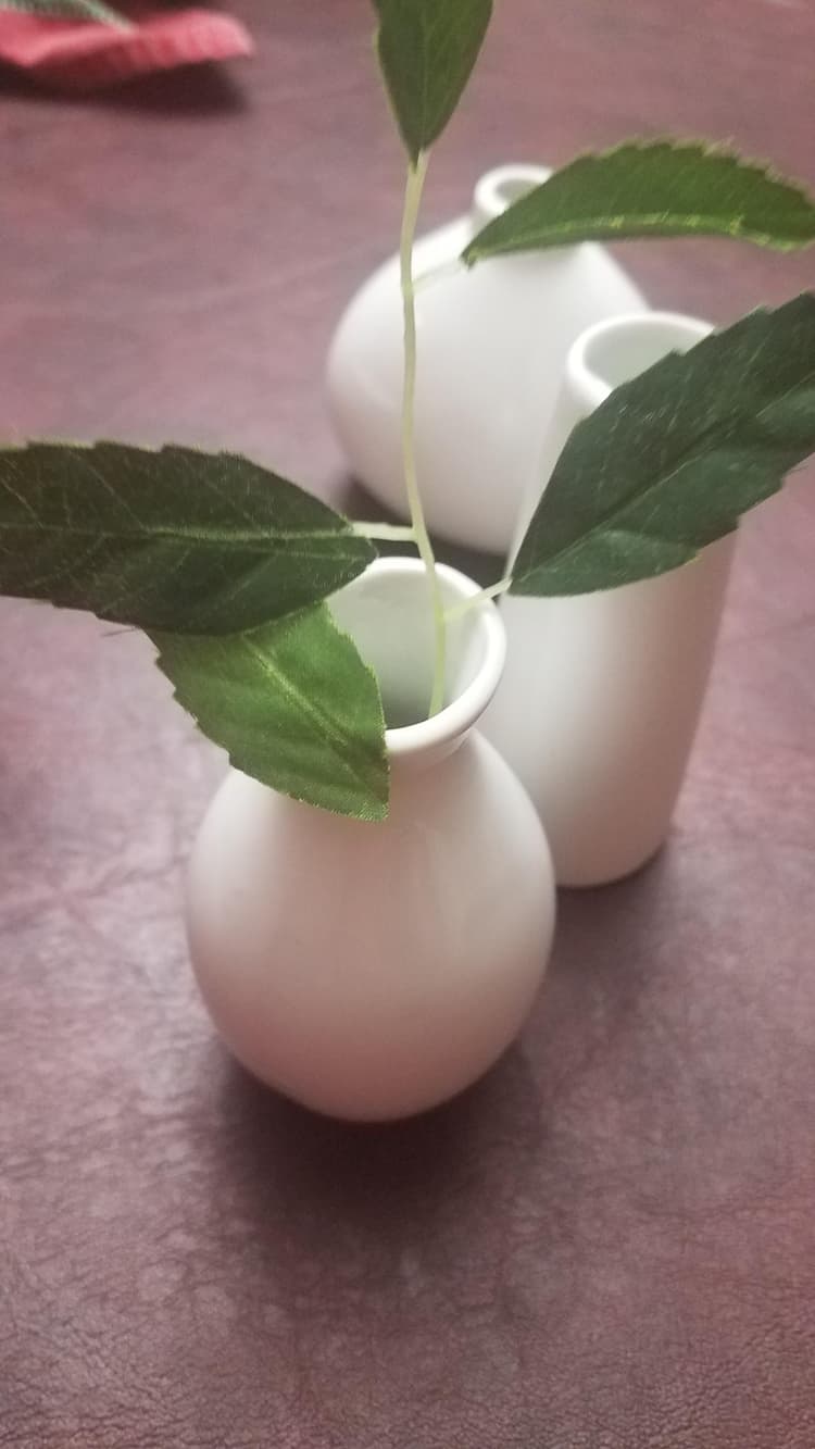 These white porcelain vases made by acopa are perfect for centerpieces with one small flower bud in them very nice product at a very good price.