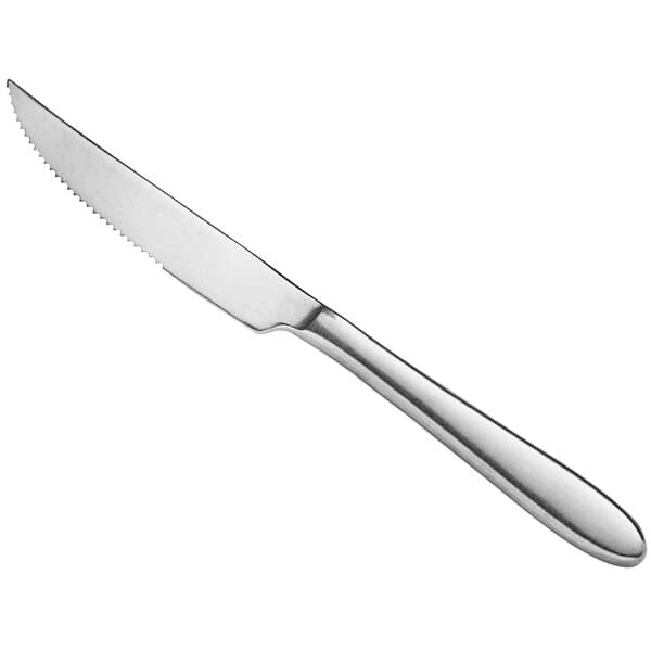 An Acopa Pangea stainless steel steak knife with a silver handle.